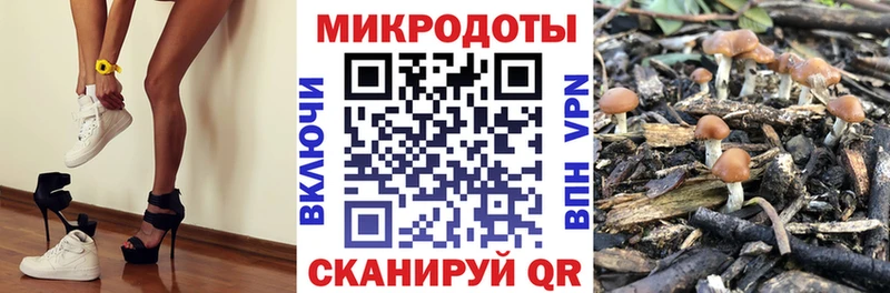 Псилоцибиновые грибы Psilocybe  нарко площадка наркотические препараты  Нягань 